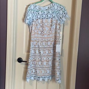 NWT Eliza J Lace Overlay Sheath Dress